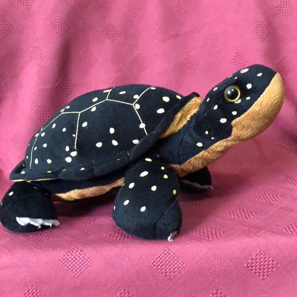 Wild Republic Other - 🛍️5/$20🛍️EUC, WILD REPUBLIC UNIQUE INCREDIBLY BEAUTIFUL BLACK & TAN TURTLE.